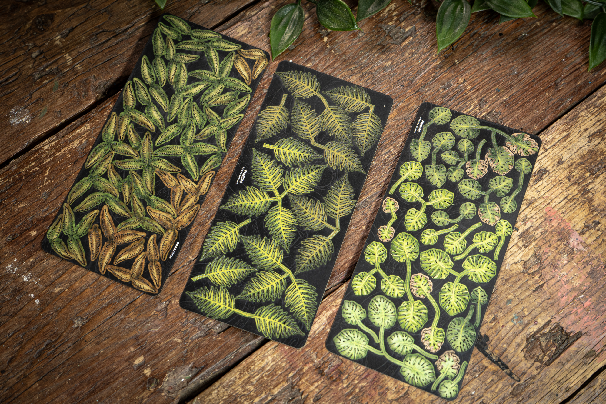 Jungle Tufts_4.png