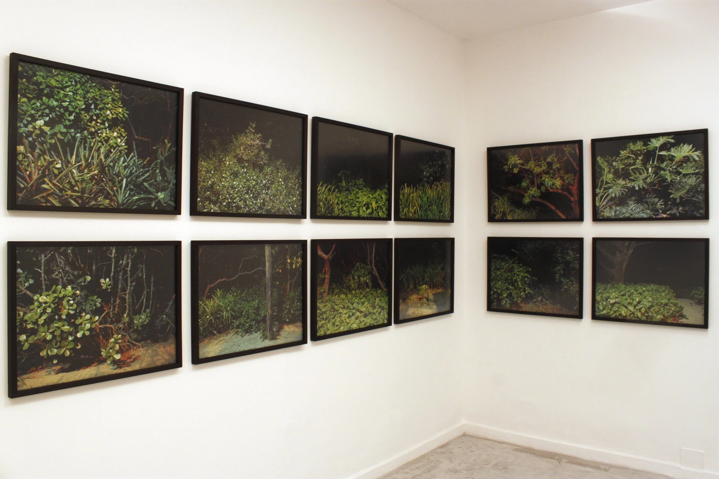 Laura Erber | Luiza Baldan | insulares e marginais - 10. 11. 11 &gt; 10. 12. 12