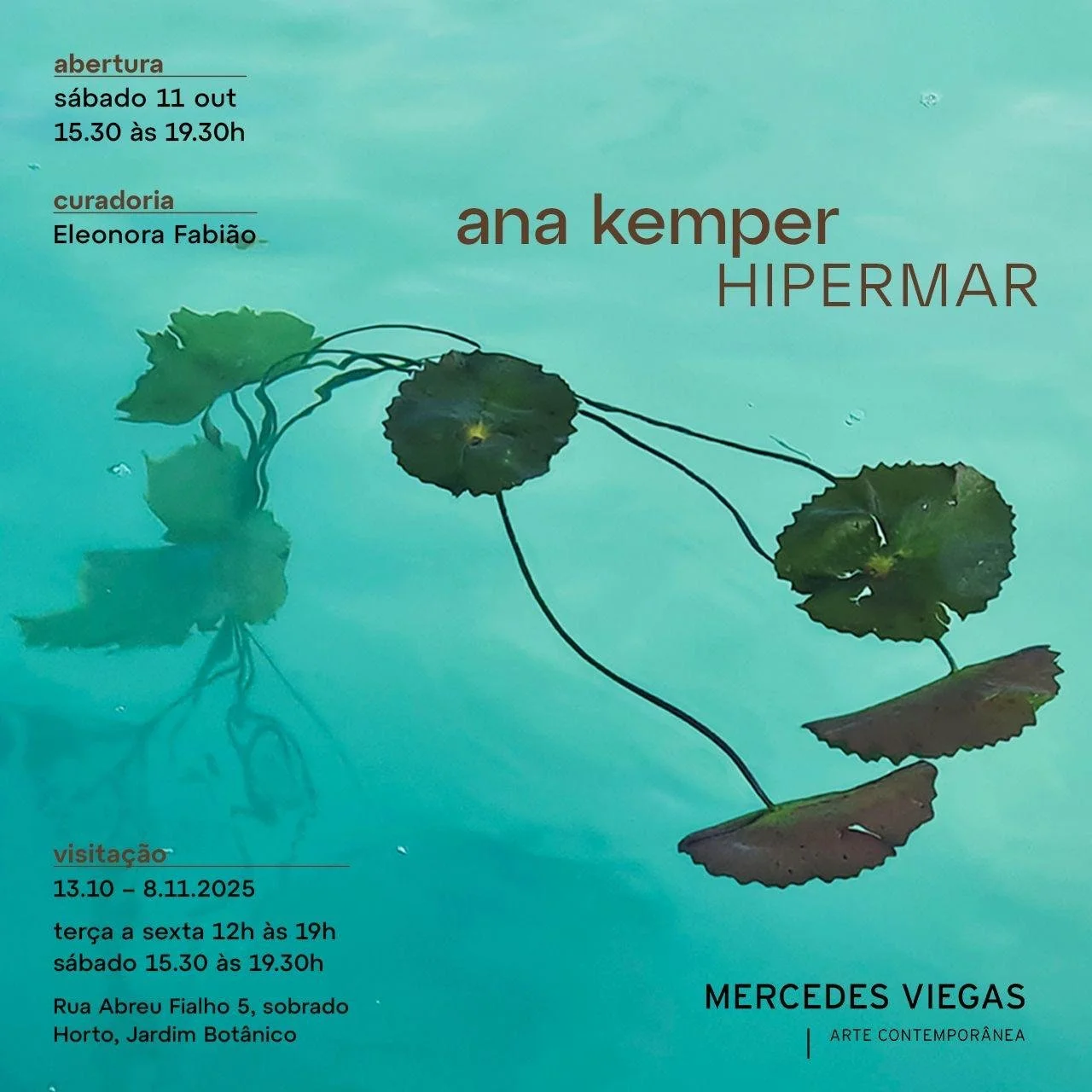 ana kemper | HIPERMAR | 11.10.25 &gt; 08.11.25