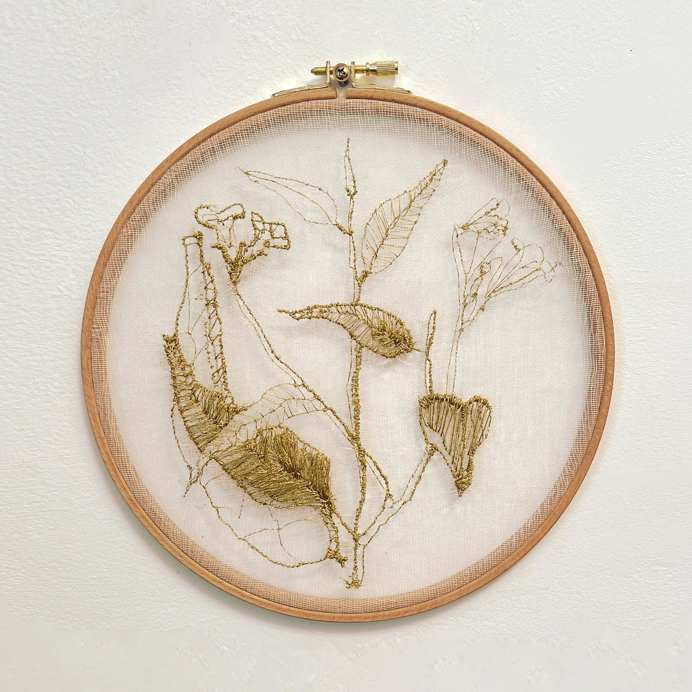  ANTONIA RATTO  araruta, 2025  bordado com fio dourado sobre gaze, montado em bastidor  25.5 x 25.5 cm   