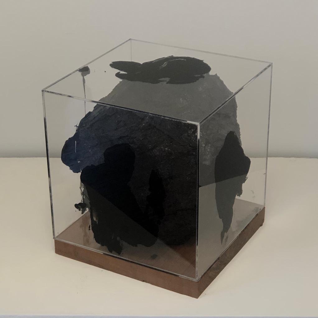  MARCIA THOMPSON  sem título, 2018  Pintura a óleo e caixa de acrílico  35 x 35 x 35 cm 