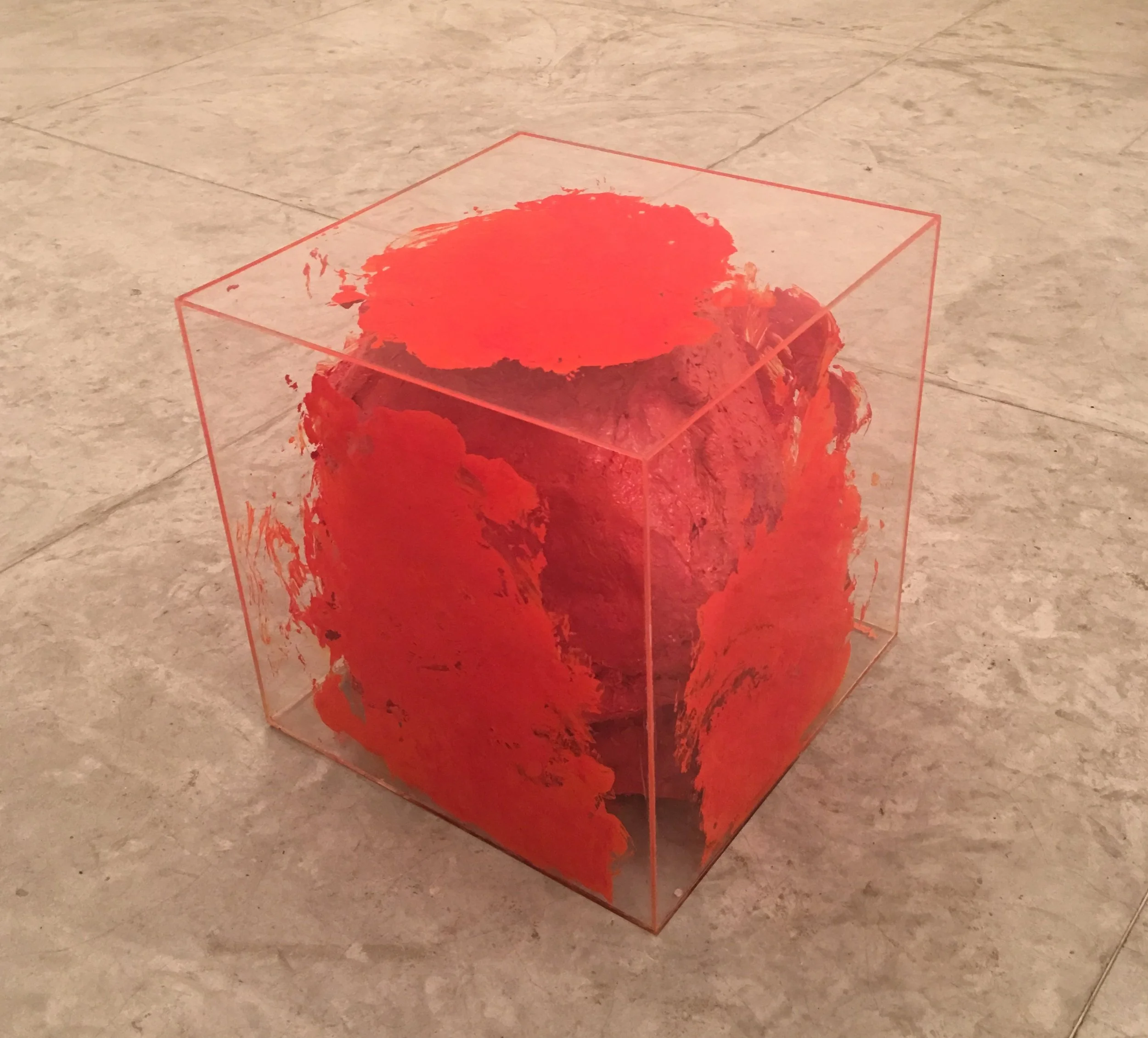  MARCIA THOMPSON  sem título, 2016  óleo em caixa de acrílico  46 x 46 x 46 cm 