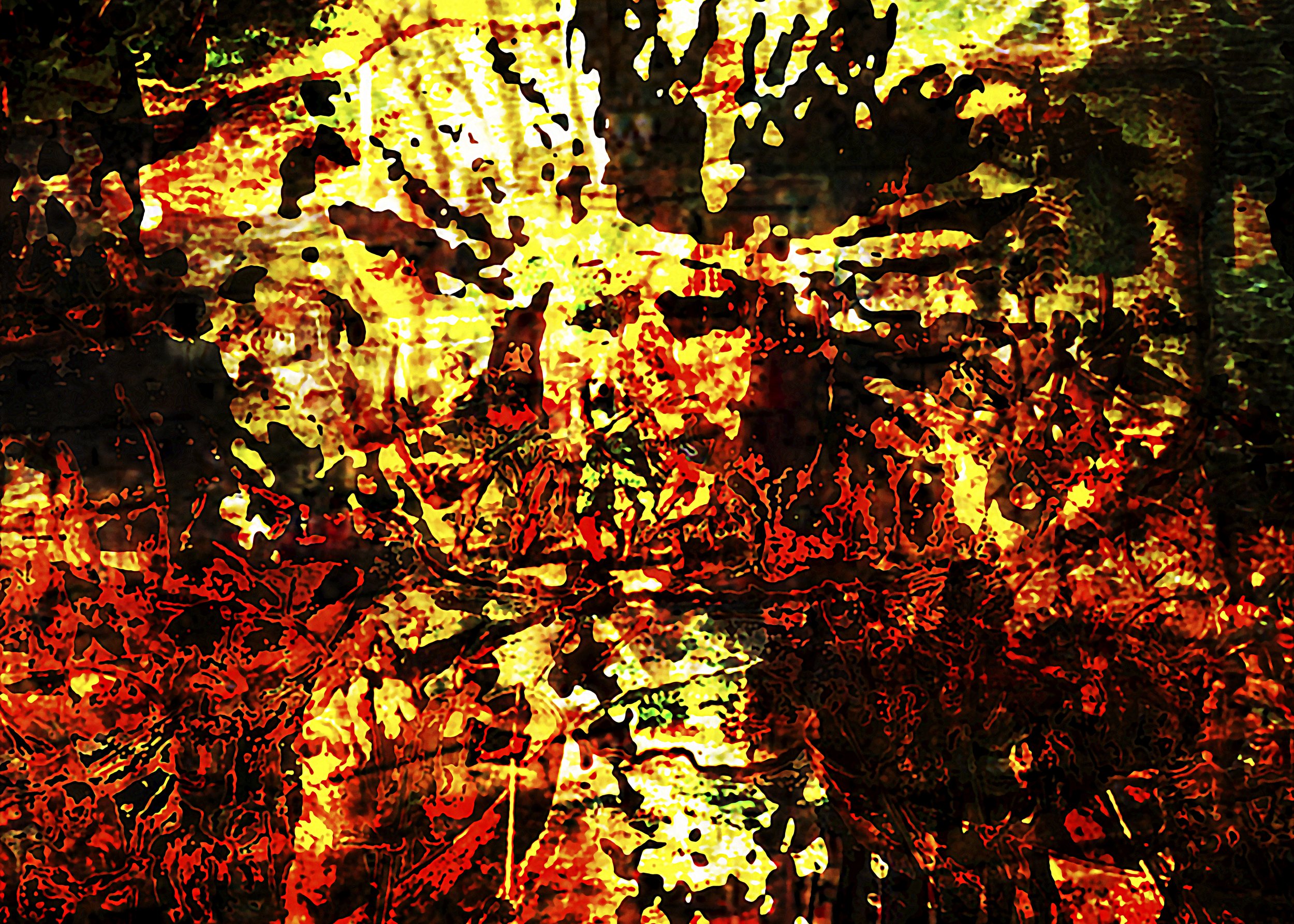  REGINA DE PAULA  Karióka, 2014-2026  impressão fine art - edição 1/3 + PA  50 x 70 cm   