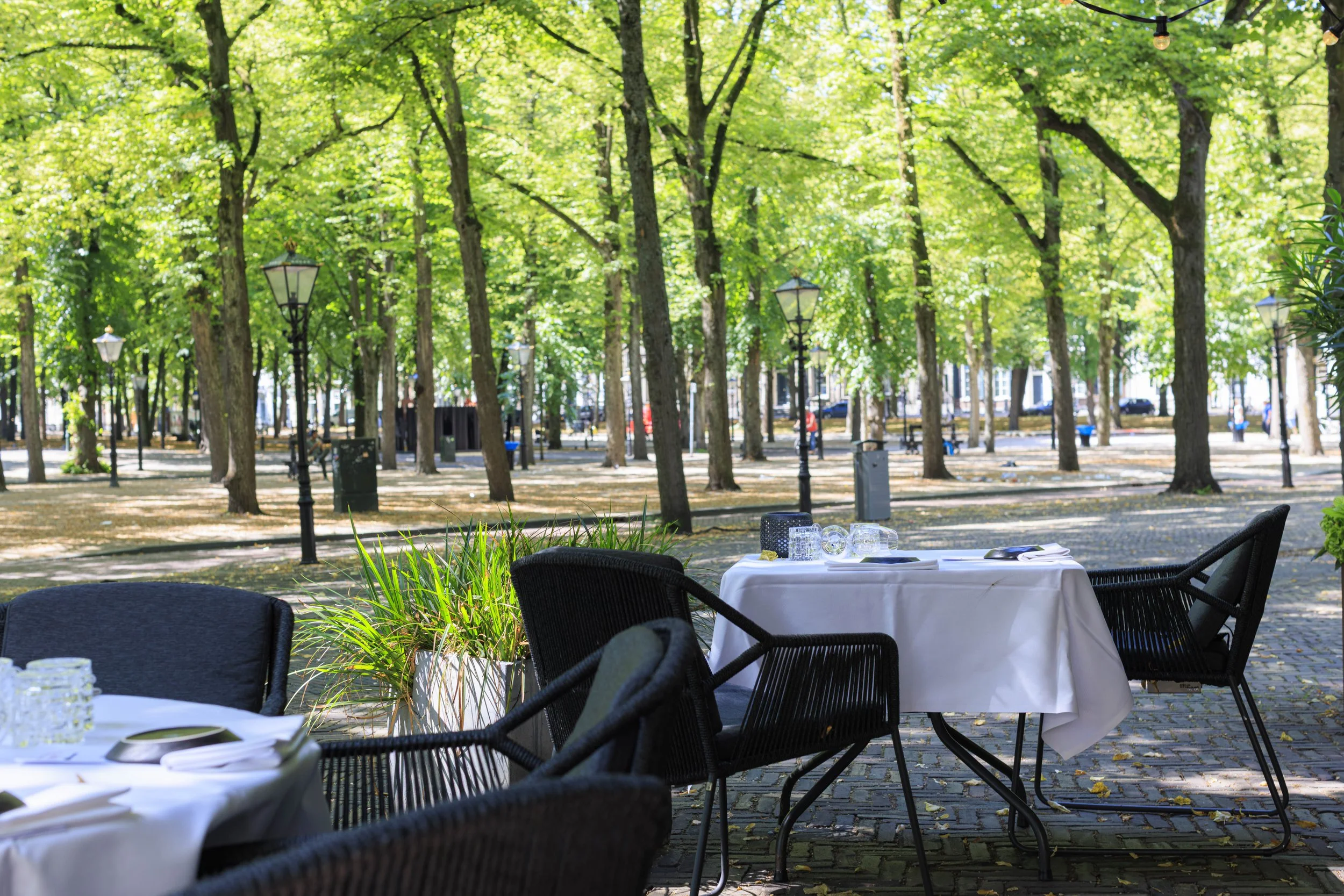 Cottontree City Terras-39.jpg