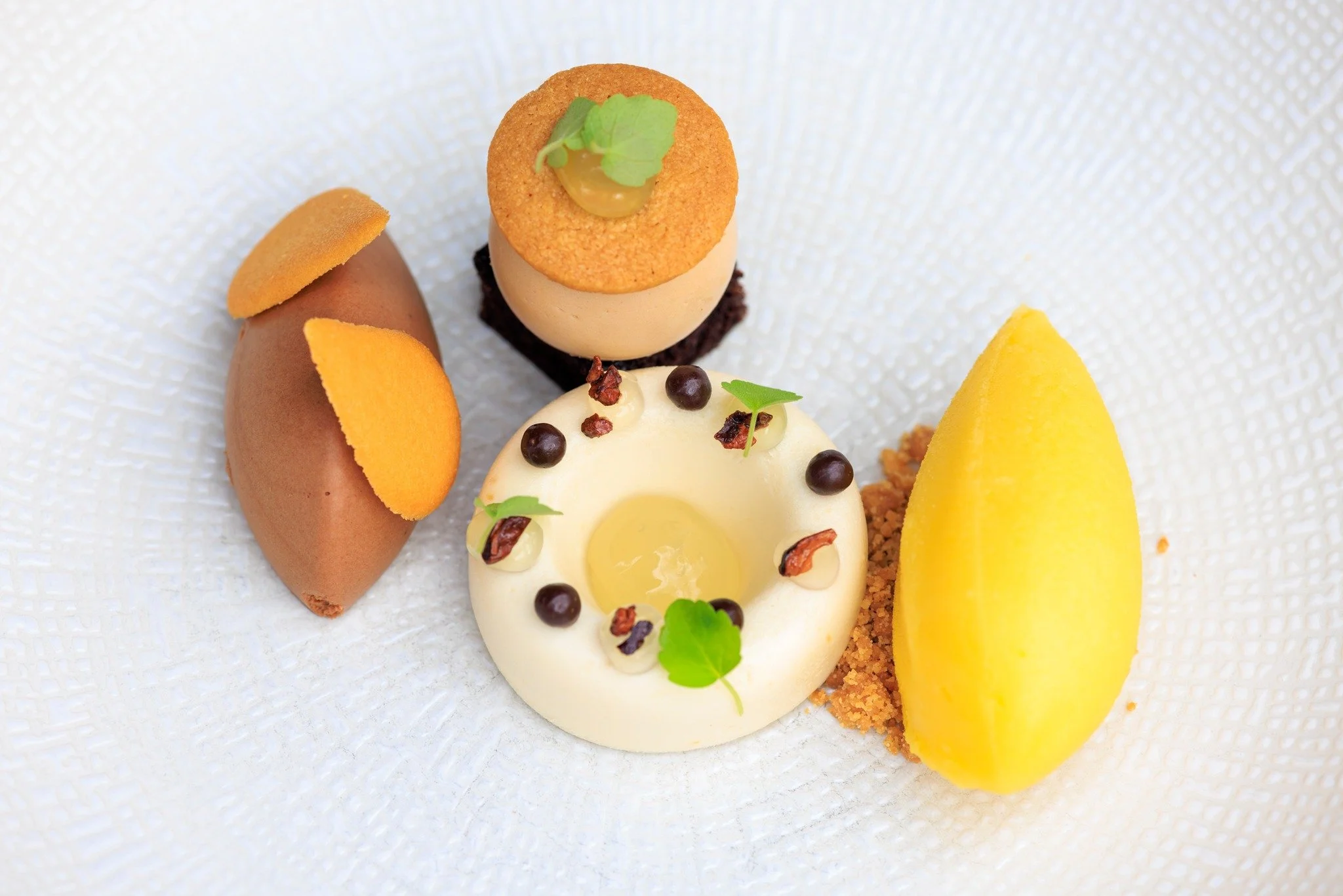 𝐂𝐡𝐨𝐜𝐨𝐥𝐚𝐝𝐞
cake | mousse | mandarijn yuzu sorbet
#cottontree #cottontreecity #restaurant #denhaag #thehague #langevoorhout #museumkwartier #lekker500 #gaultmillau #thisisthehague #mooisteterras