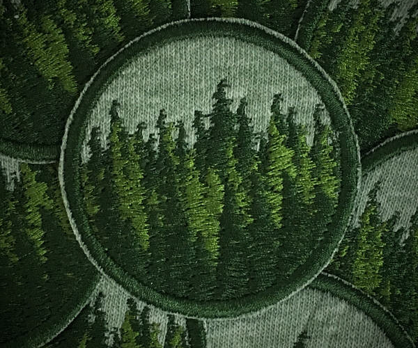 forest.png