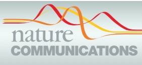 Nature Communications Article Reaffirms the Potential of Savanna Fire Management 