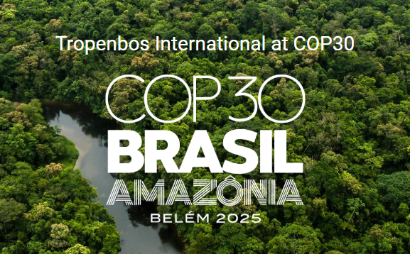 Tropenbos International - Supporting wildfire prevention in tropical forests