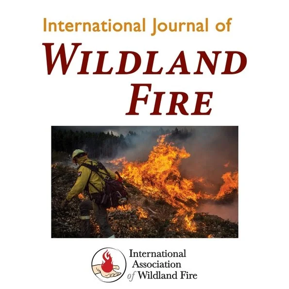 New Special Issue on Incentivising Savanna Fire Management