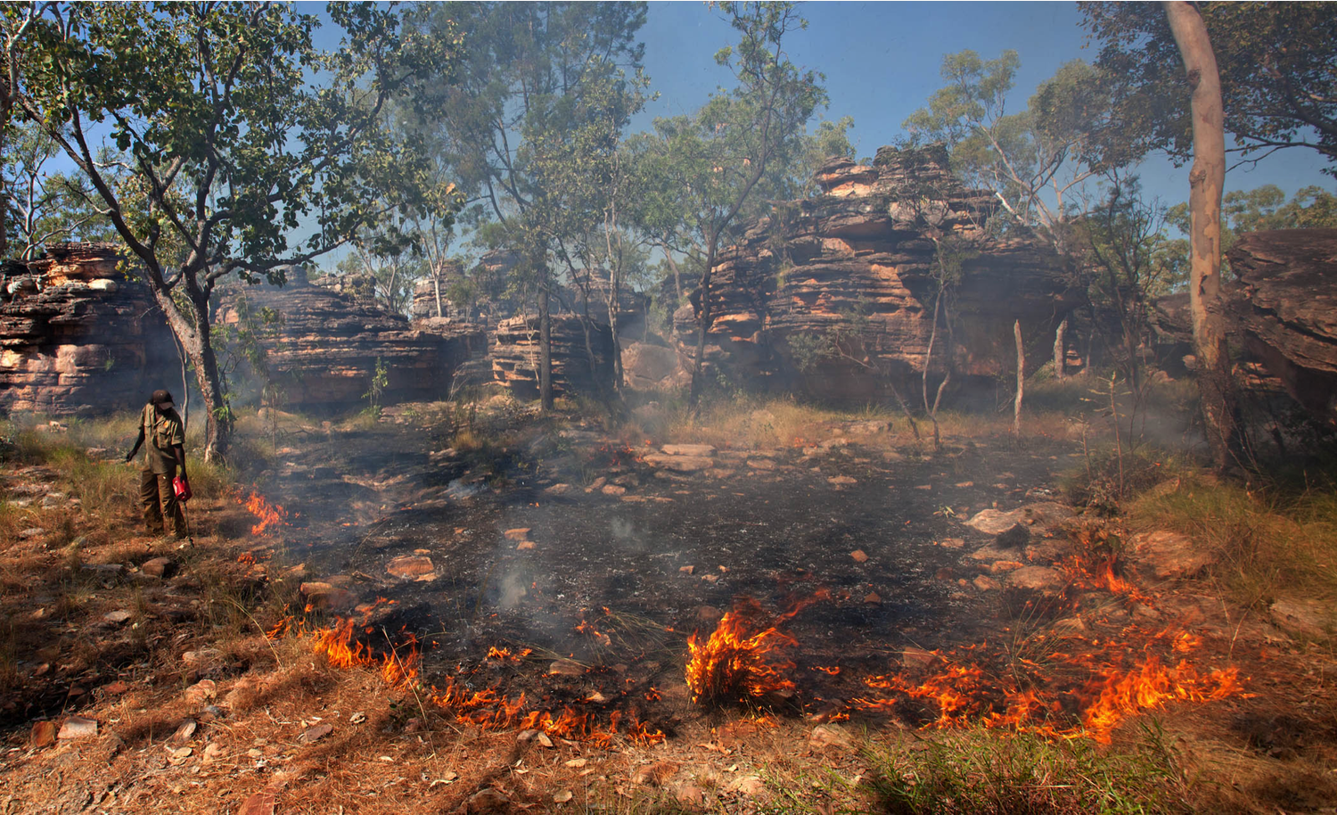 International Savanna Fire Management Initiative