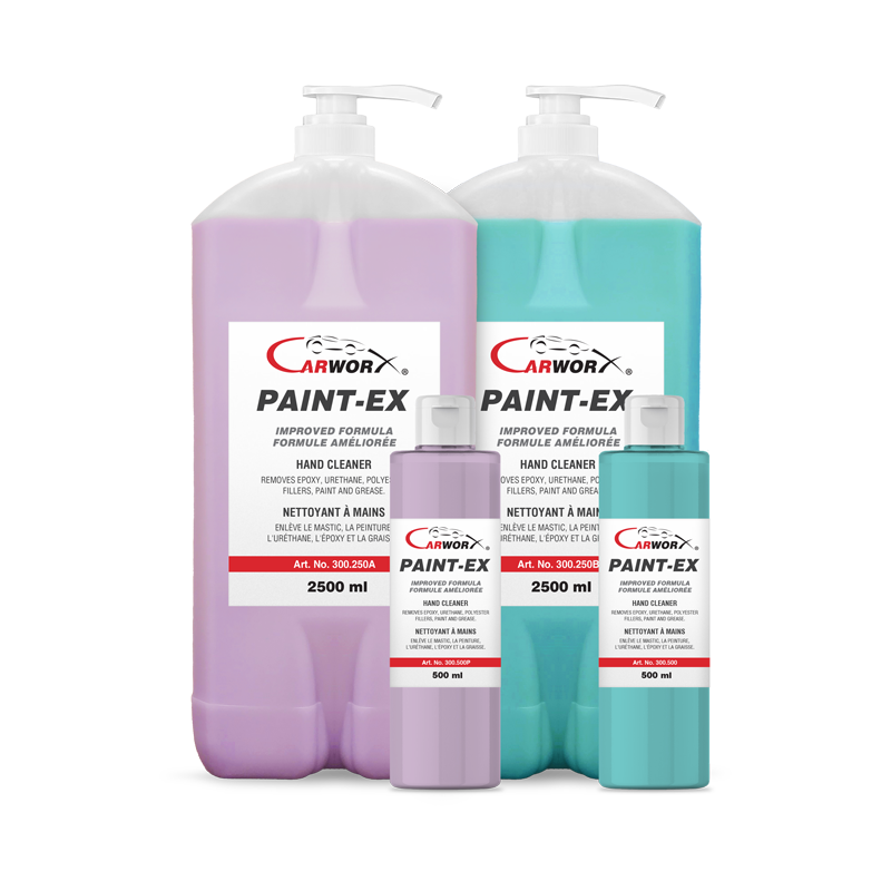 300.250_PAINT-EX_GROUP.png