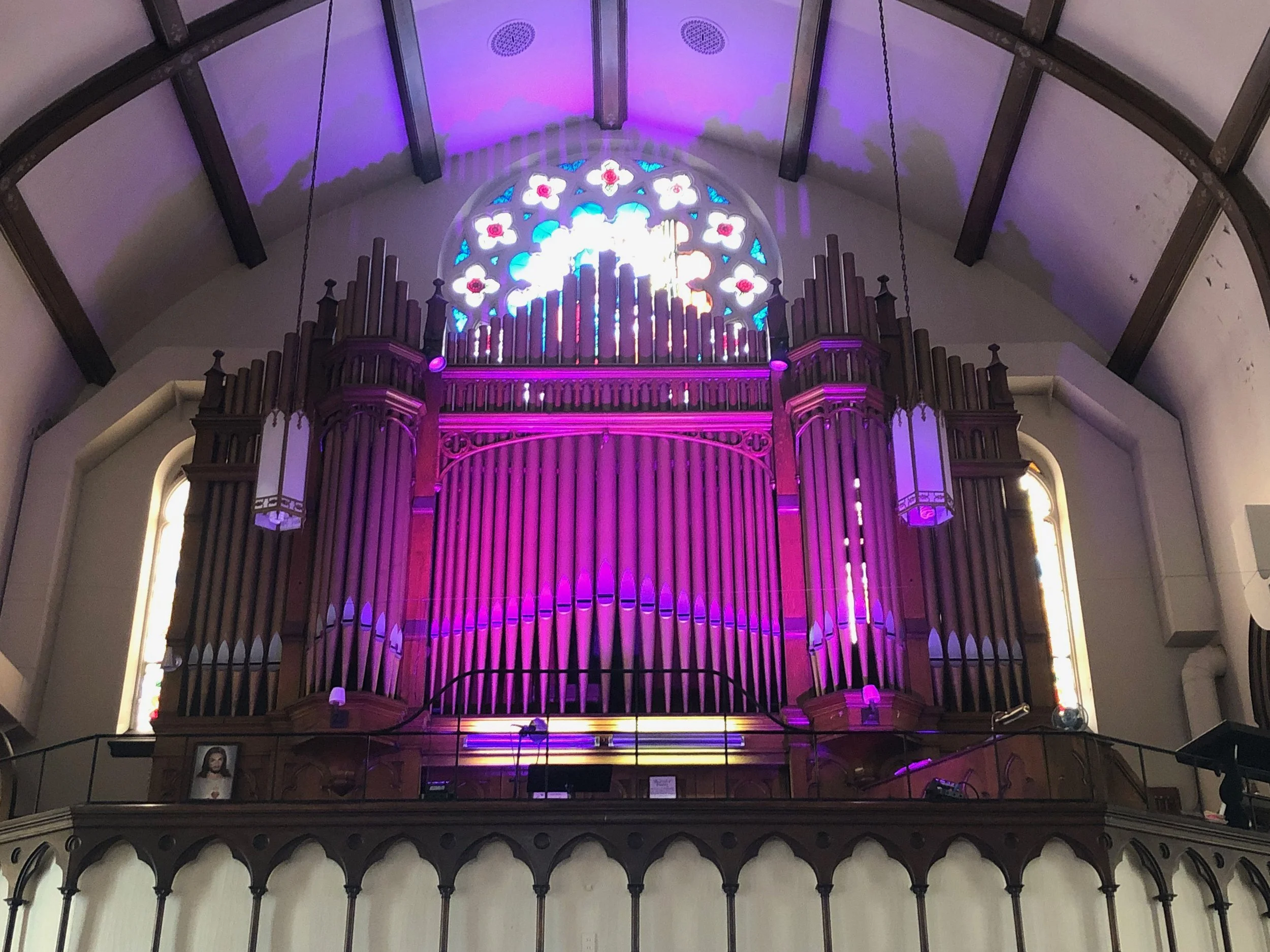 organ.jpg