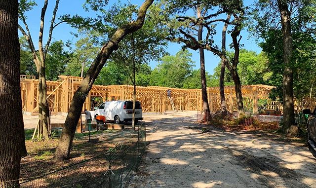 ‭Site visit. Can&rsquo;t wait to see the finished product on this one. How great would it be to have this tree-lined drive welcoming you to your new home everyday?
&bull;
#structuralengineering #framing #customhome #newhomeconstruction #homeconstruct