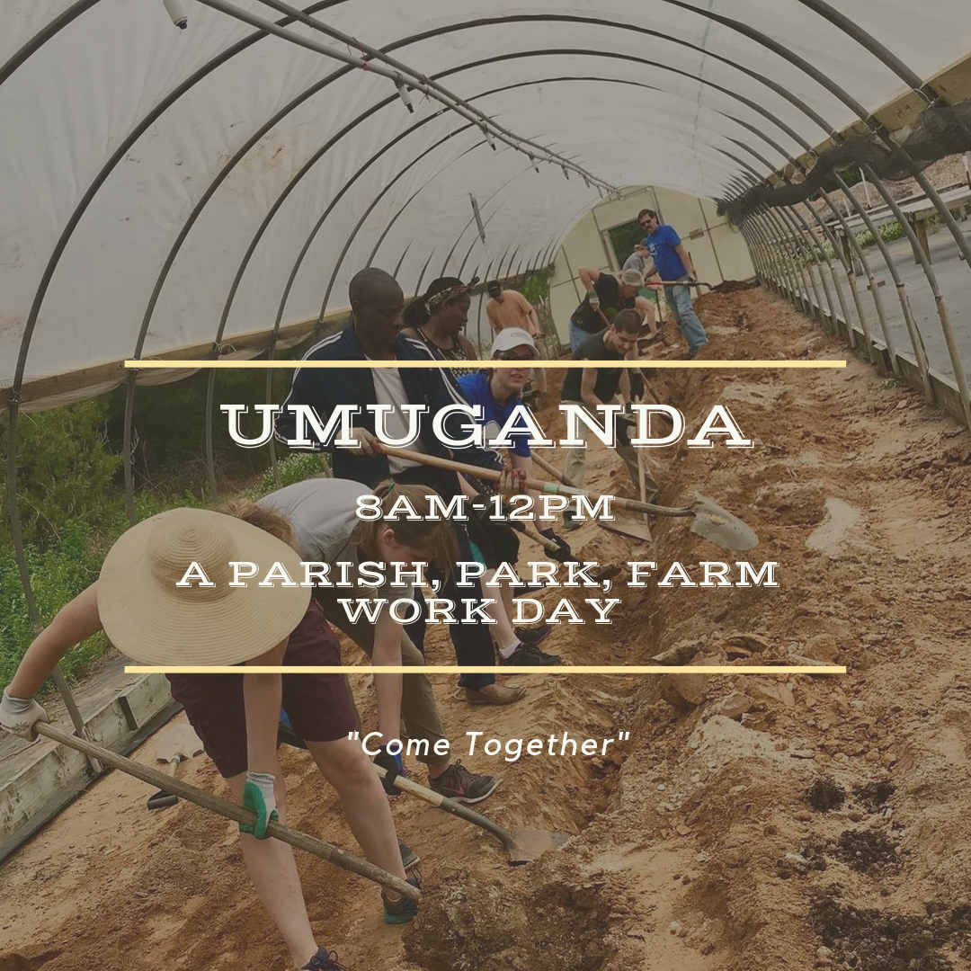 Umuganda: A Parish, Park, Farm Workday