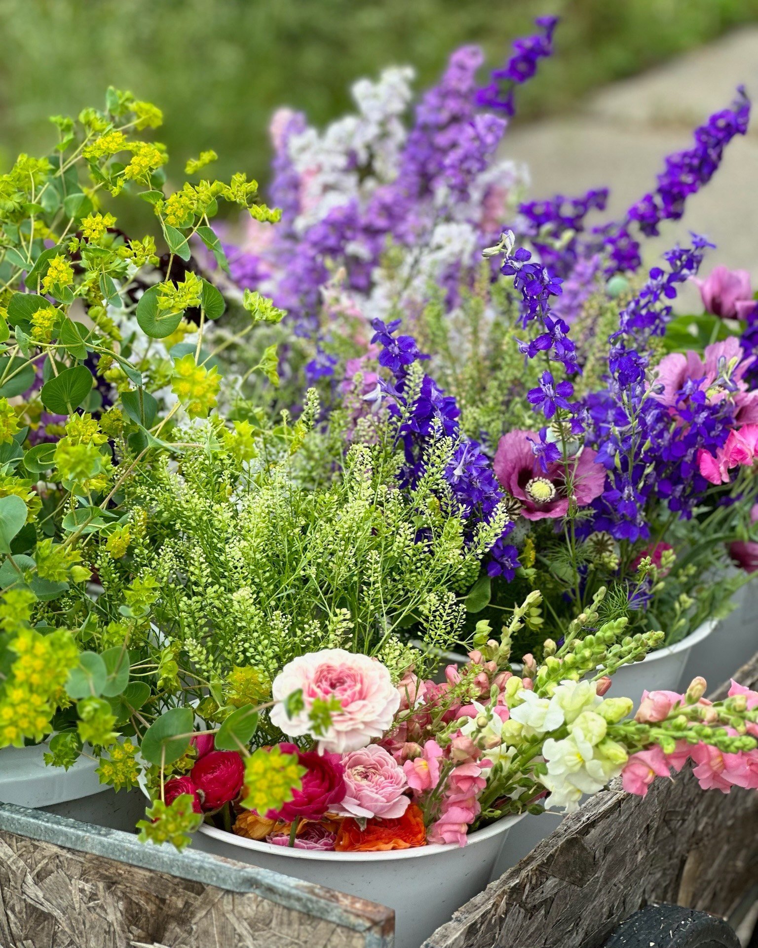 Our farm is selling special 💐Mother's Day Bouquets💐 this week for $15 each! There will only be a limited number available. Order by Thursday, May 8th and they will be ready for pick-up on Sunday.
To order, visit redeemergso.org/now.
(The flowers