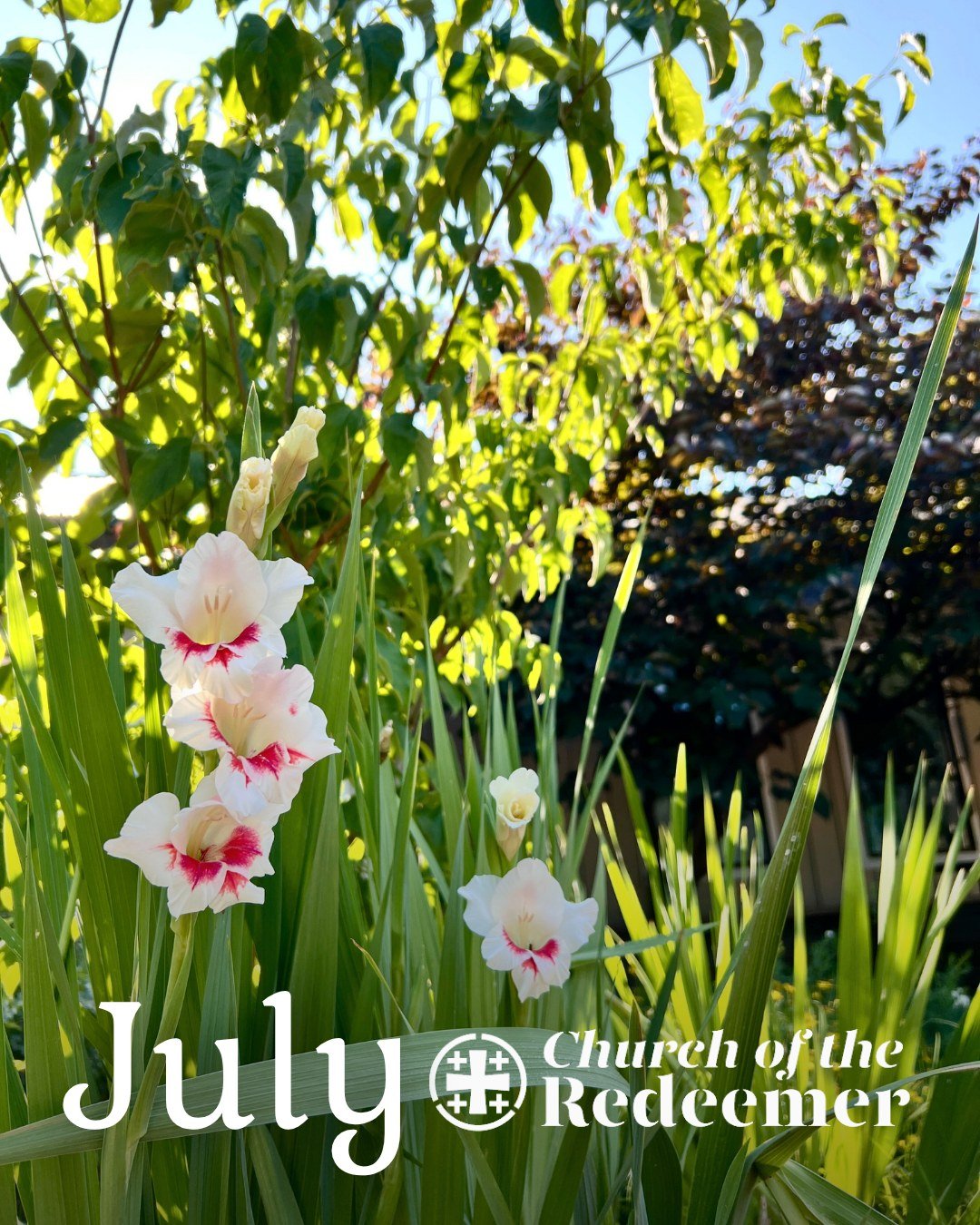 Check out what we've got going on this month at Redeemer!
You can find more info at redeemergso.org/now
@redeemeryouthministry also has a bunch of fun summer events coming up for middle school and high school students! Visit redeemergso.org/youth to