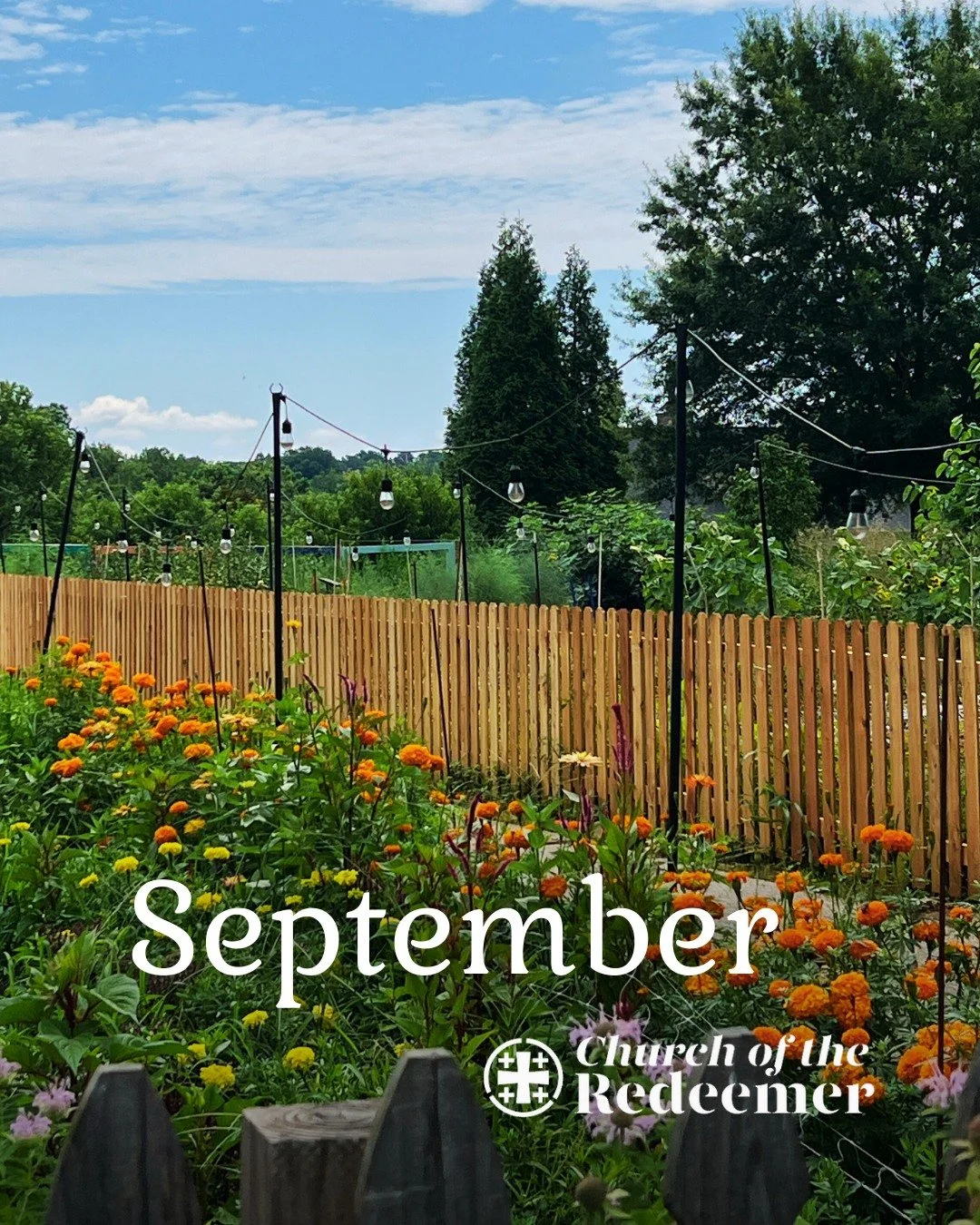 🍂Check out what we've got coming up this month!🍁
Learn more & find links to sign-up at redeemergso.org/now.