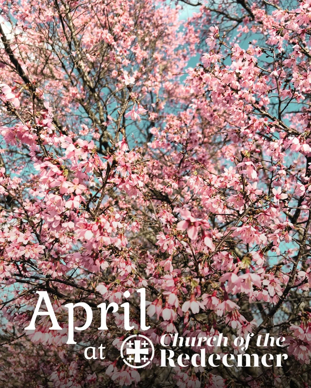 While the beginning of April has eyes fixed on Holy Week and Easter, we have all kinds of other events coming up this month, including a Newcomers Dinner, Mini-Umuganda Day, and a Spring Plants Sale grown right here on @newgarden.farm ! 

Swipe to se