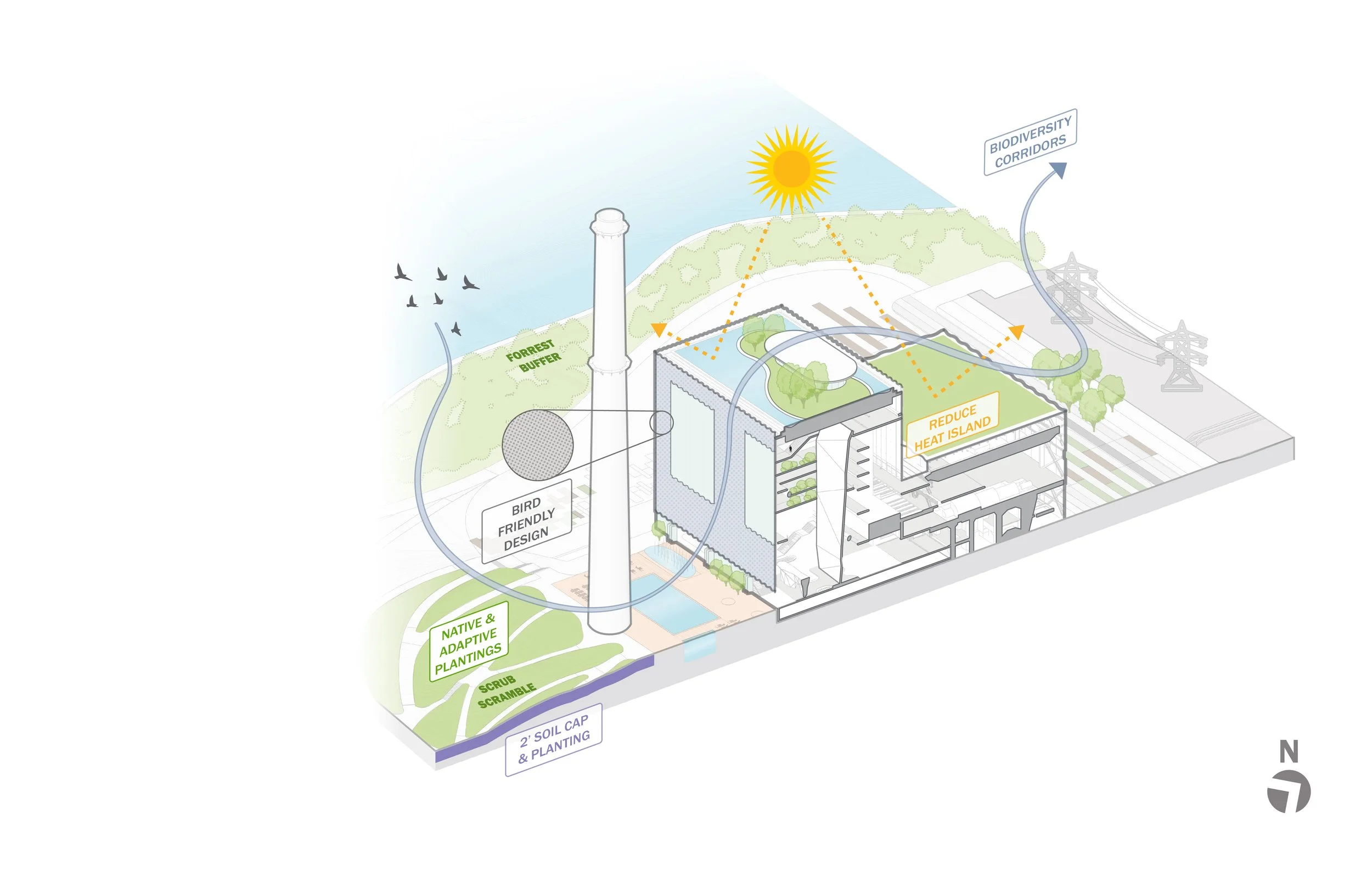 Axon Section Series 004.jpg