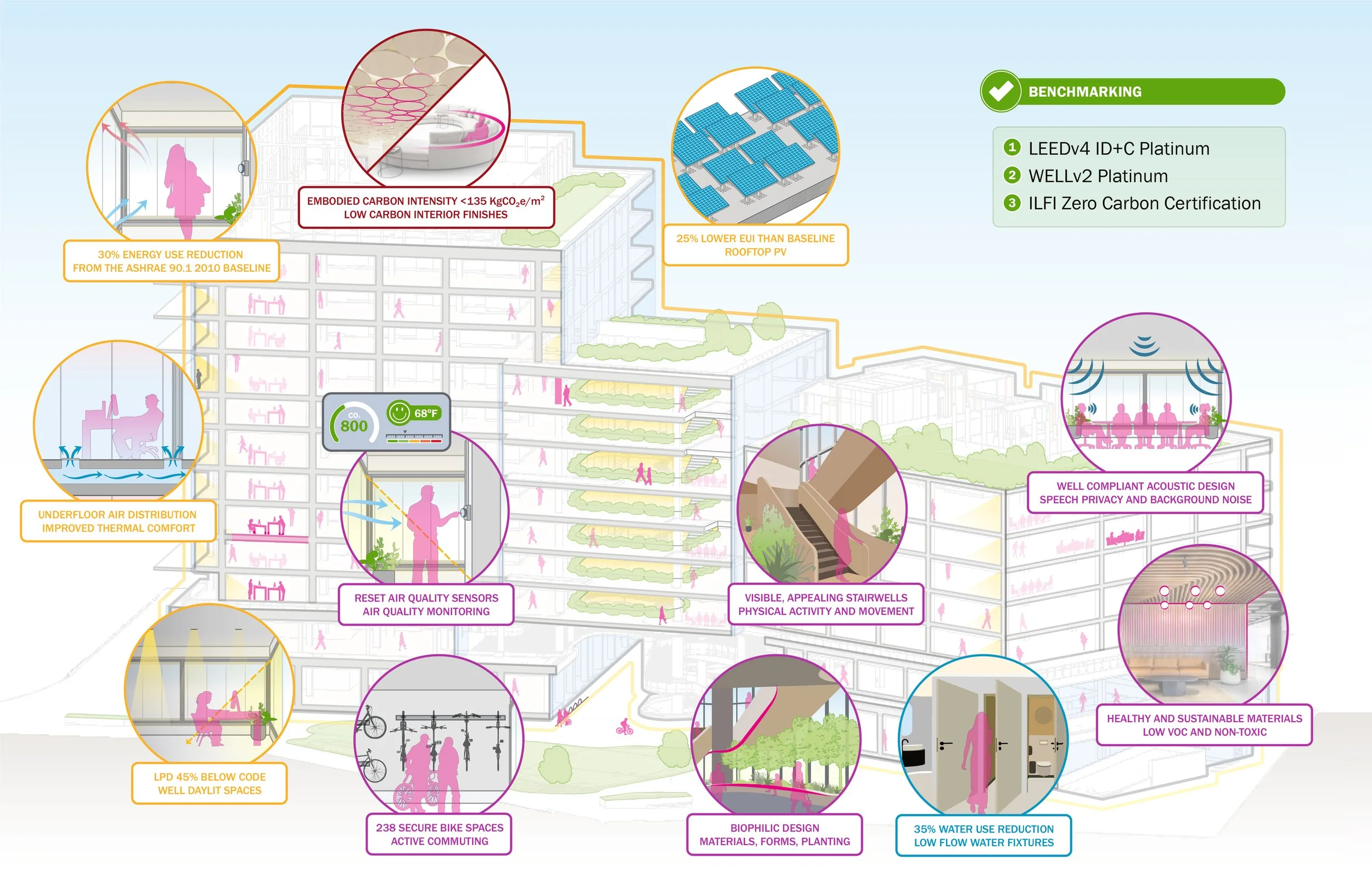 Axon Section with Illustrations.jpg