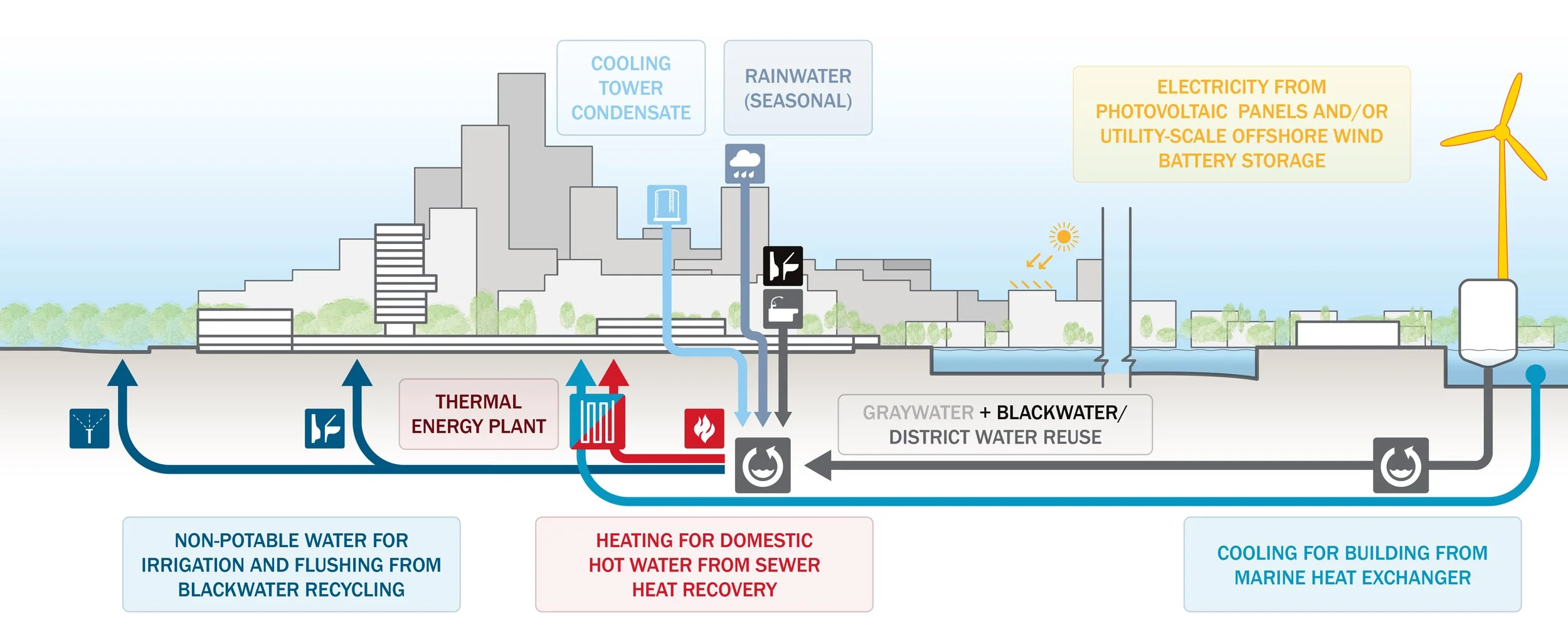 Site Section 001.jpg