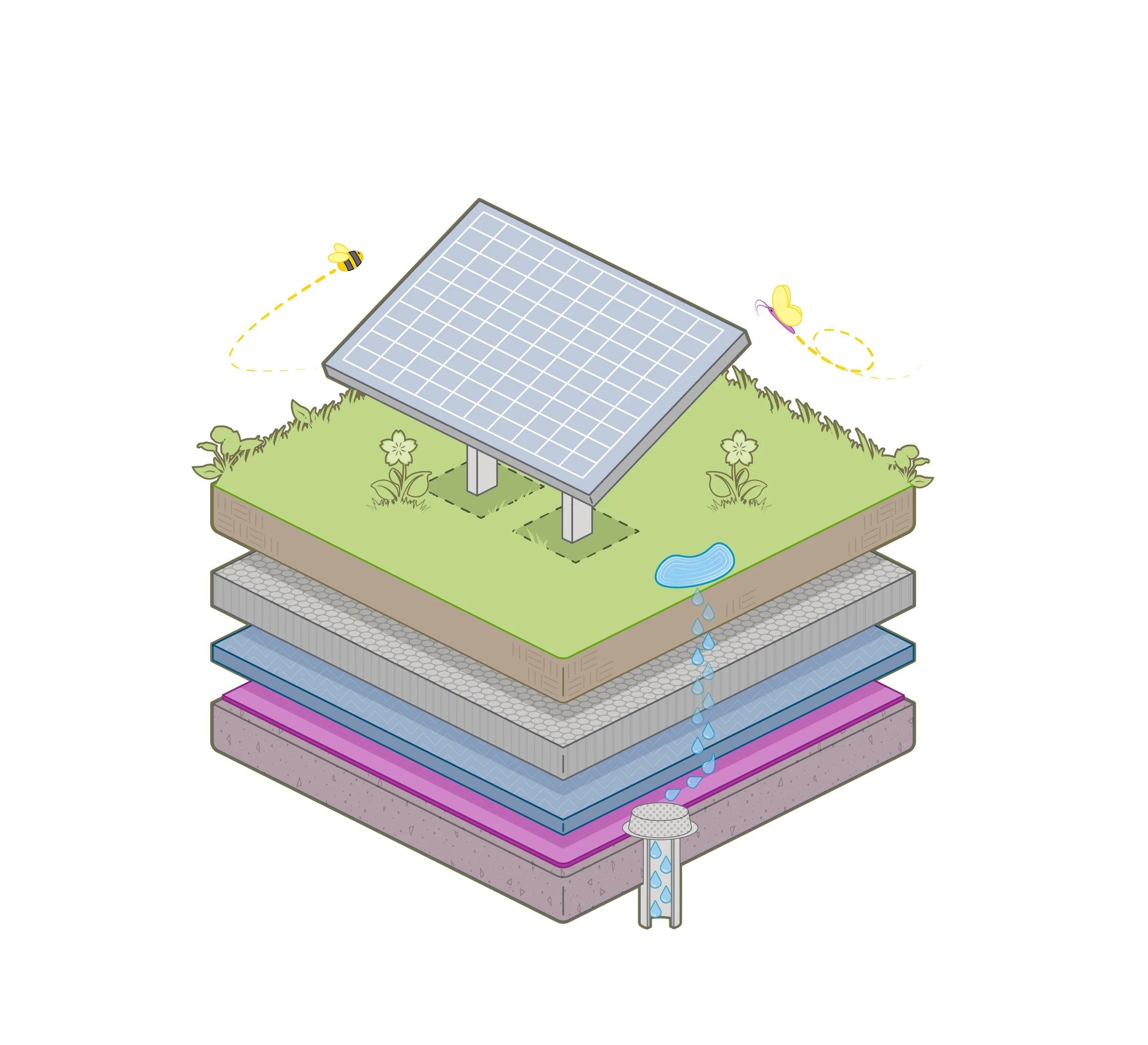 Purple Roof with PV Illustration.jpg