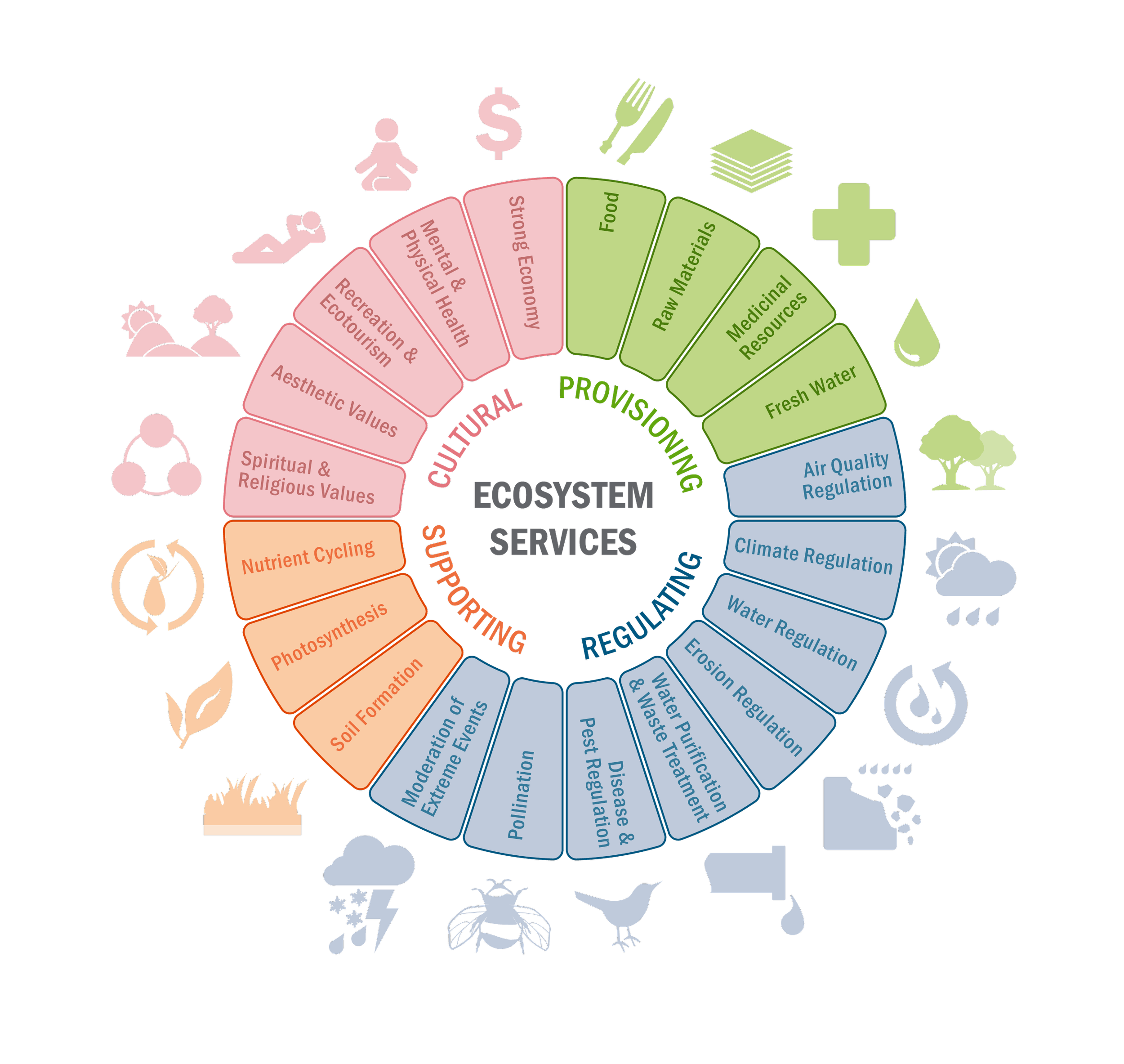 Ecosystem Services.png