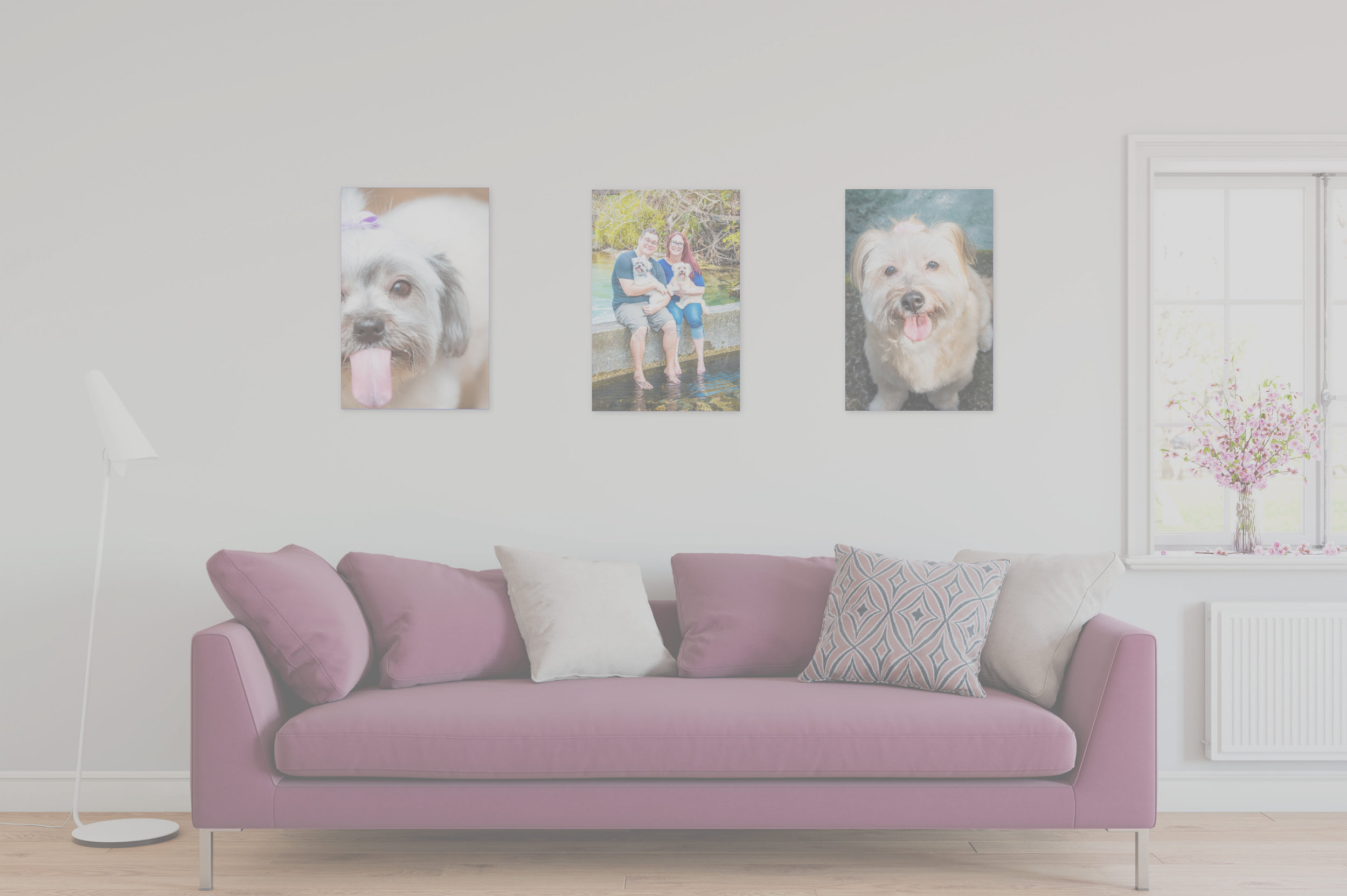 gallery-snapshot web 1.jpg