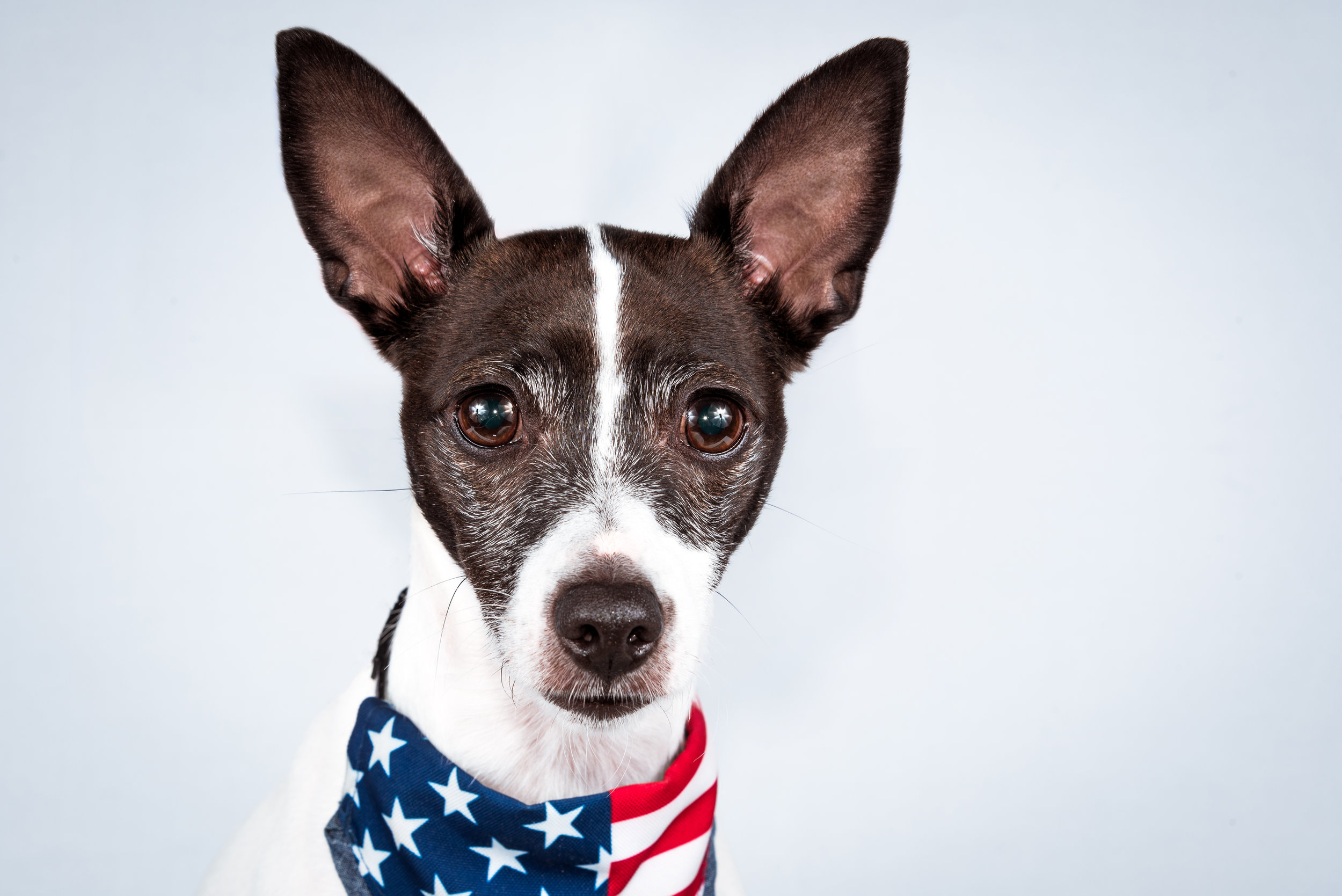 2019 July 4th Beau-9 Edited.jpg