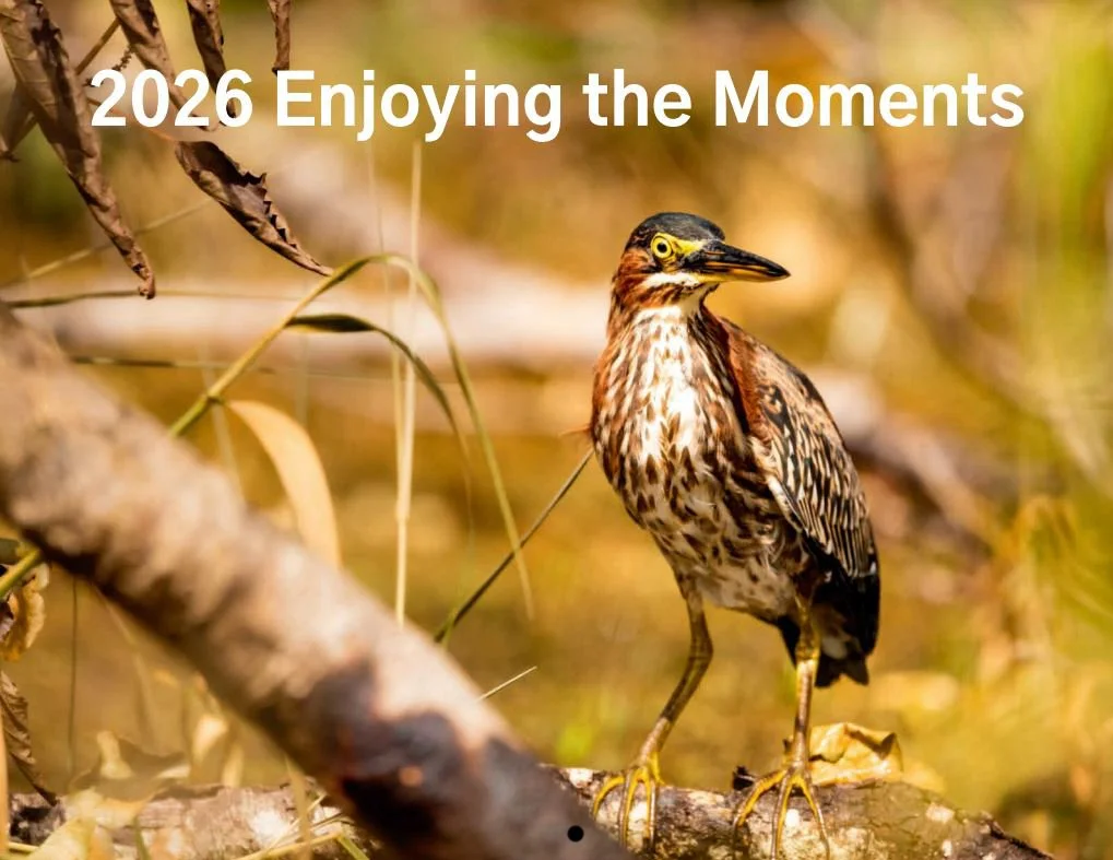🗓️✨ The 2026 “Enjoying the Moments” Calendar is HERE! ✨🗓️