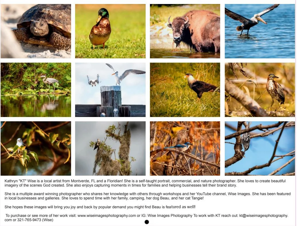 2026 calendar, 2026 wall calendar, nature 2026 calendar, wildlife 2026 calendar, bird photography calendar, Florida birds calendar