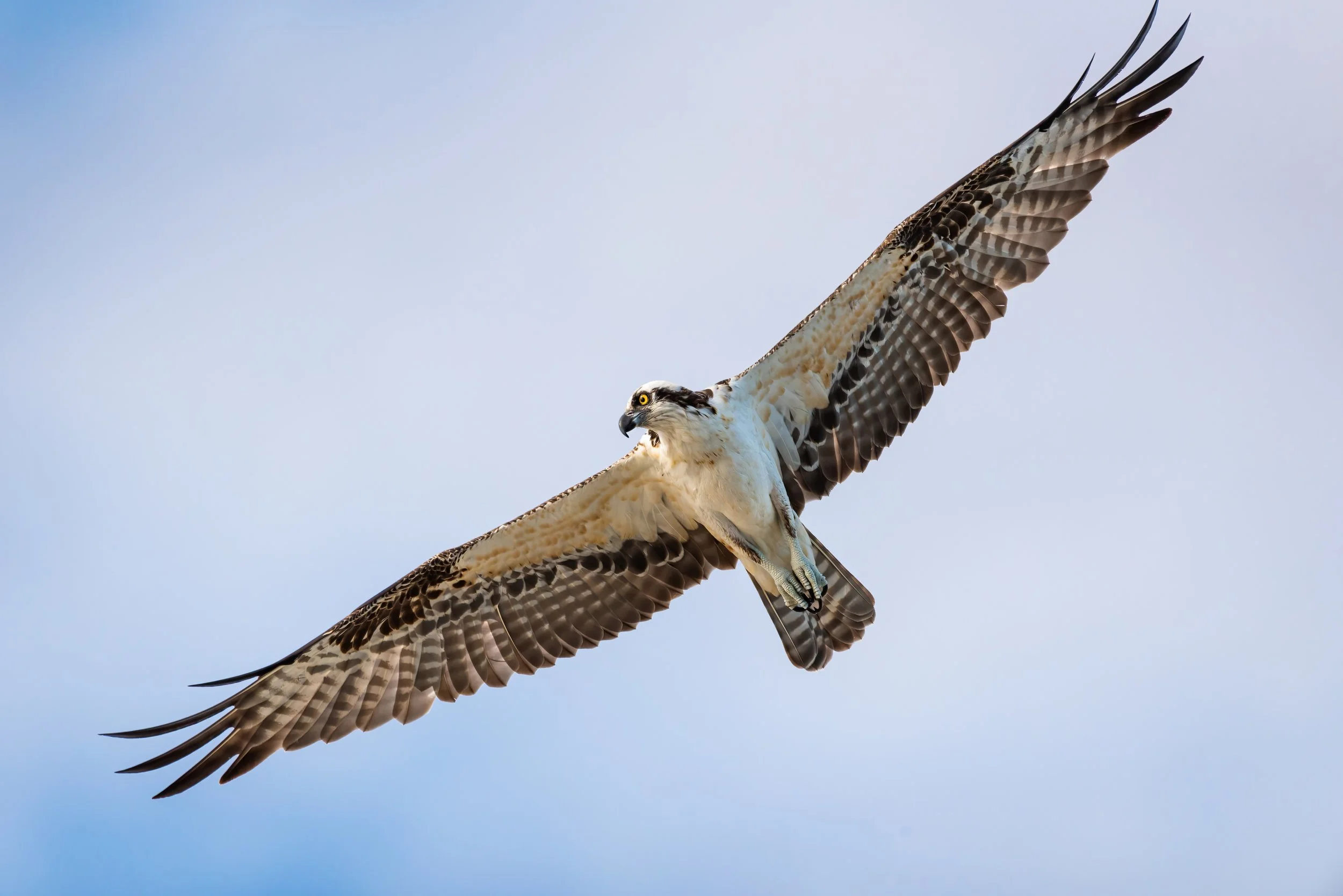 12. 2022 Jetty Park-126-standard.JPG