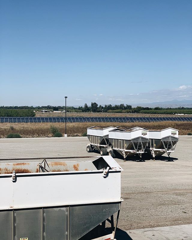 The best view. #walnuts #solar #farming #california