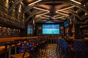 Bonnington bar 2.jpeg