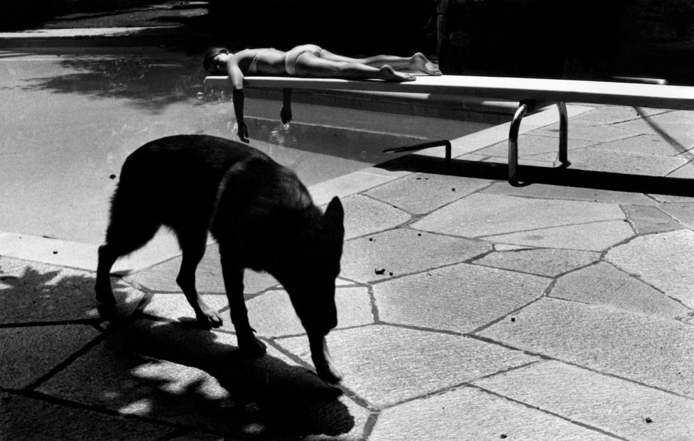  Melissa on Diving Board with Dog Shadow, Atlanta  Image: 1973/ Printed: 2016  Digital Print 9 1/2 x 16 in. (image size) The Do Good Fund, Inc., 2016-078 