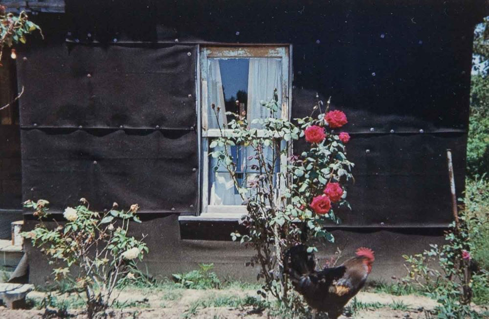   Black Building, Red Roses and Rooster (For William Eggleston), Hinds County, Mississippi  Image: 1979/printed: 1981 Dye Coupler Color Print 3 1/4 x 5 in. (image size) The Do Good Fund, Inc., 2016-118 