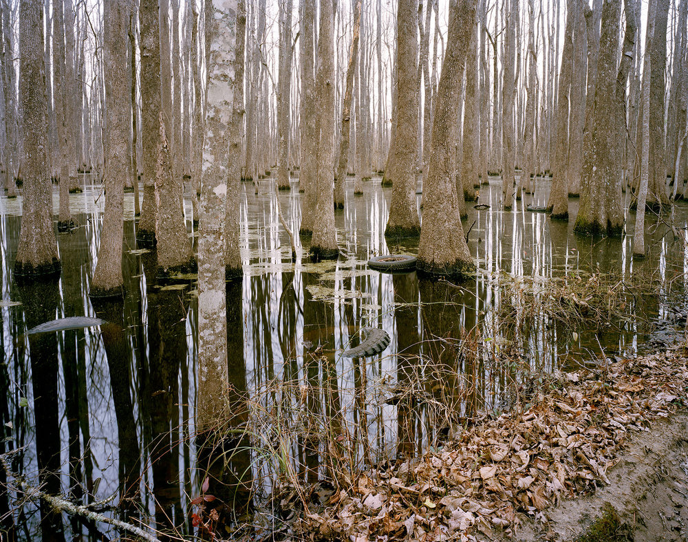   Alligator Alley, Oregon Road , 2010 Edition: 3/12 Archival Pigment Print 19 × 24 in. (image size) The Do Good Fund, Inc., 2014-035 