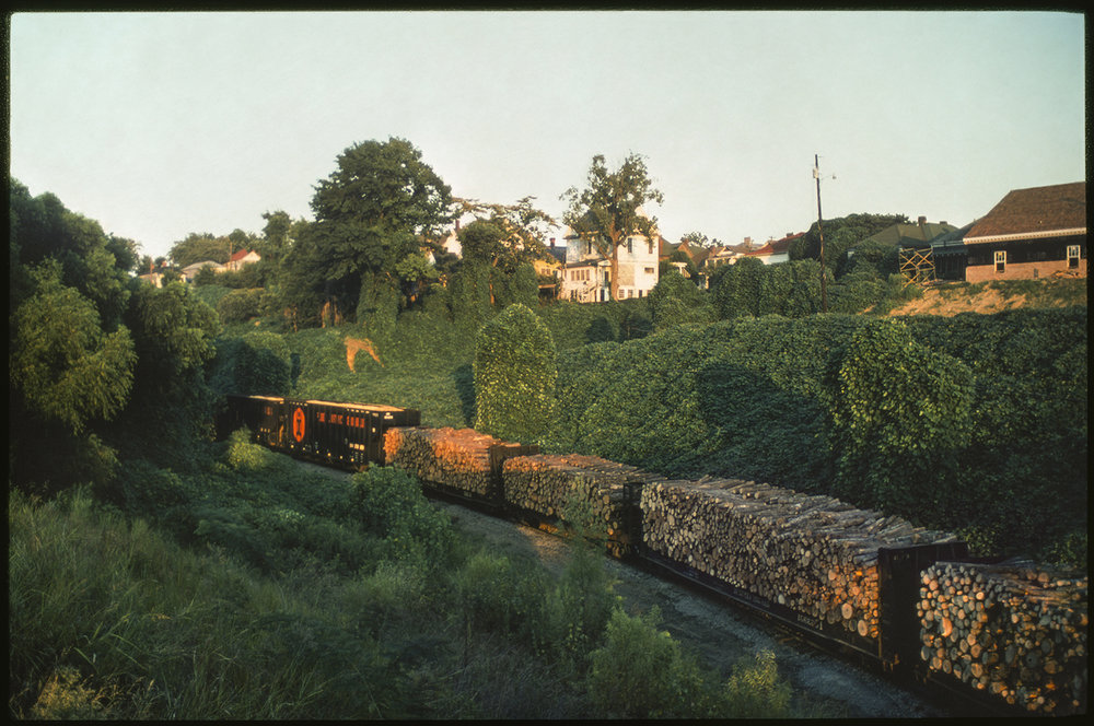   Kudzu Car, Abbeville, MS  13 × 20 in. (image size) The Do Good Fund, Inc., 2016-171 