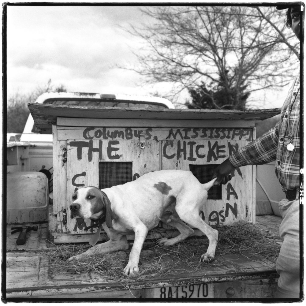   The Chickenman's Dog, Lowndes County Mississppi , 1990 Silver Gelatin Print 10 × 10 in. (image size) The Do Good Fund, Inc., 2015-055 