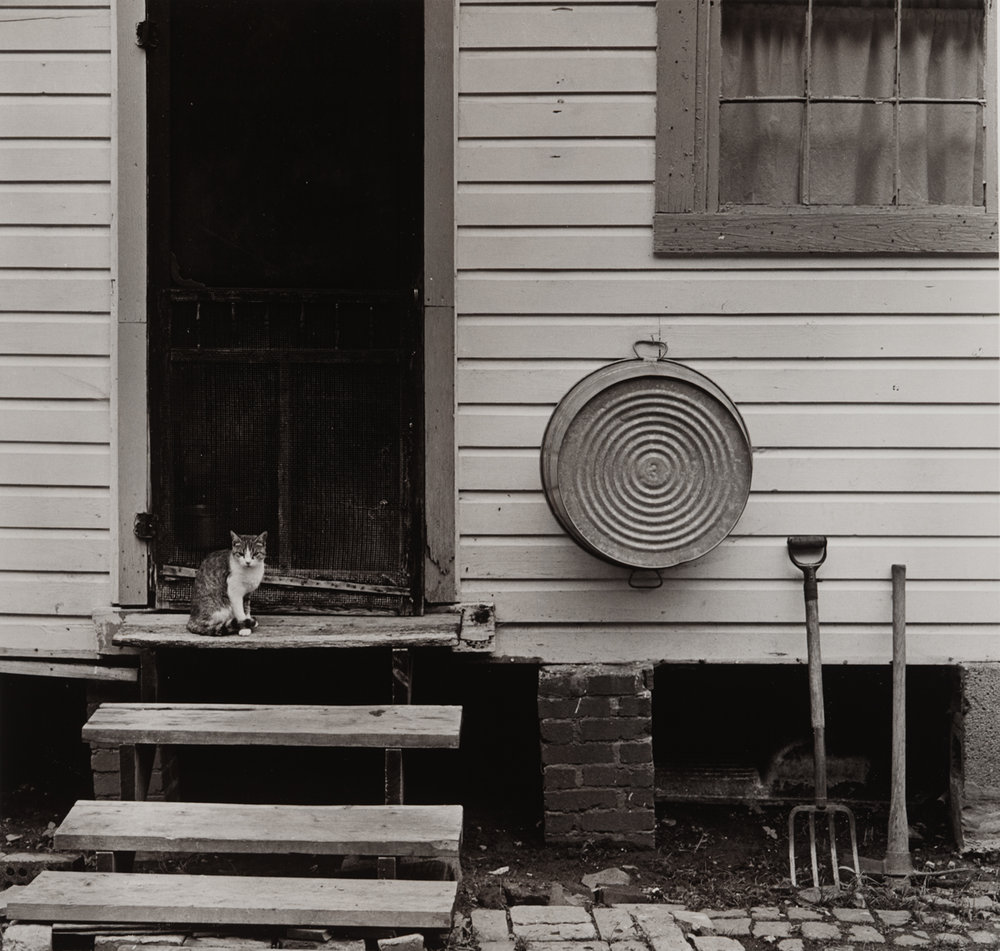   Lidge Hunter's House (Cat on Step) , Chattaroy, Mingo County, West Virginia Image: 1972/ printed: 2016 Gold-tone Gelatin Silver Print 13 × 9 3/4 in. (image size) The Do Good Fund, Inc., 2016-083 