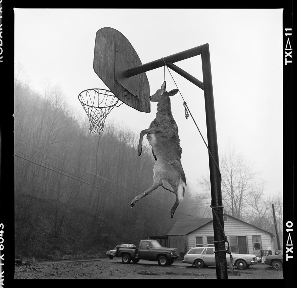   Untitled (Hanging Deer) , 1991 Edition: 13/20 Gelatin Silver Print 15 1/2 × 15 1/2 in. (image size) The Do Good Fund, Inc., 2014-12 