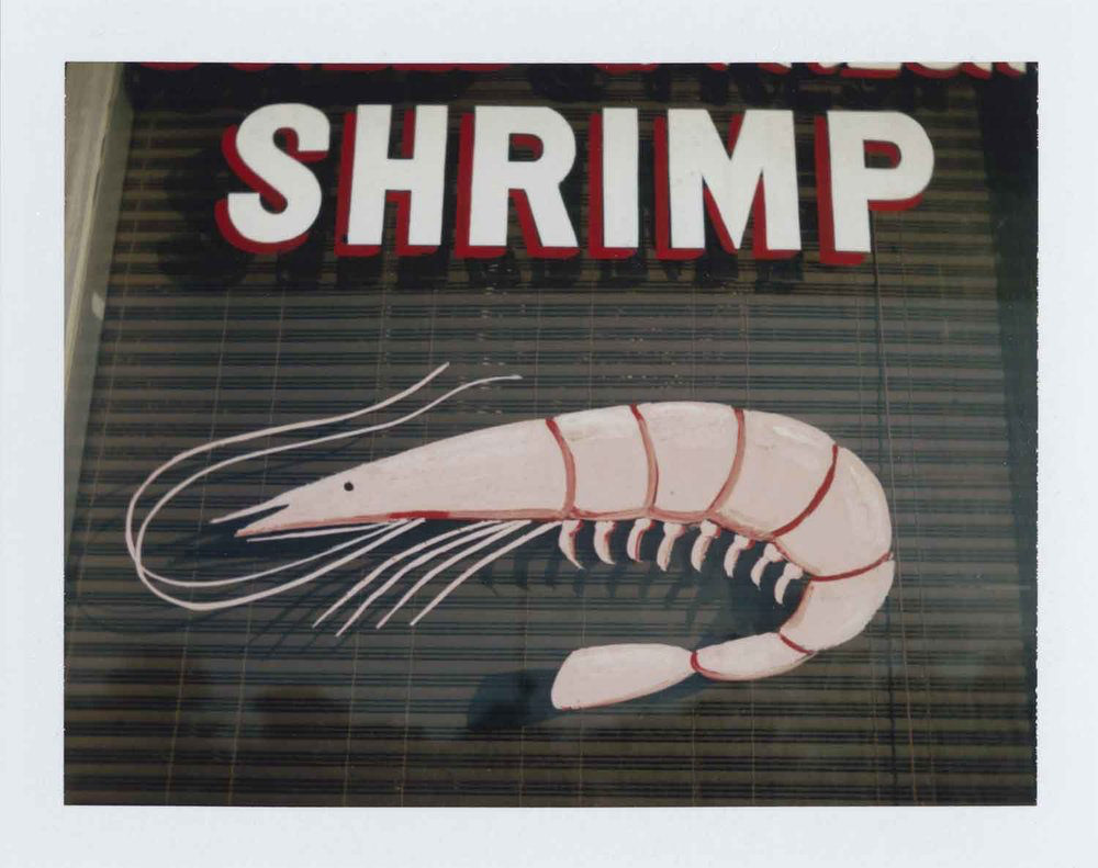   New Orleans, LA (Shrimp) , 2016 Fuji-FP100C Print 3 × 3 3/4 in. (image size) The Do Good Fund, Inc., 2017-120 
