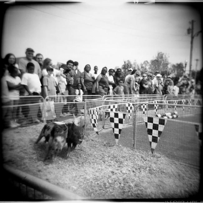   Pig Races, Juke Joint Festival, Clarksdale Mississippi , 2010/ Printed: 2016  Edition: 1/25 Silver Gelatin Print 14 × 13 7/8 in. (image size) The Do Good Fund, Inc., 2016-059 