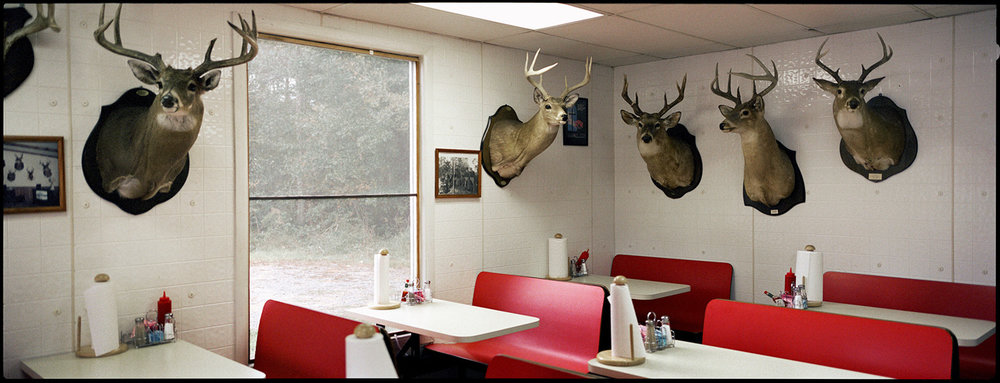   J&amp;R's, Deer Heads, Perry County Alabama , 2002 Edition: AP Archival Pigment Print 15 1/4 × 40 in. (image size) The Do Good Fund, Inc., 2014-027 