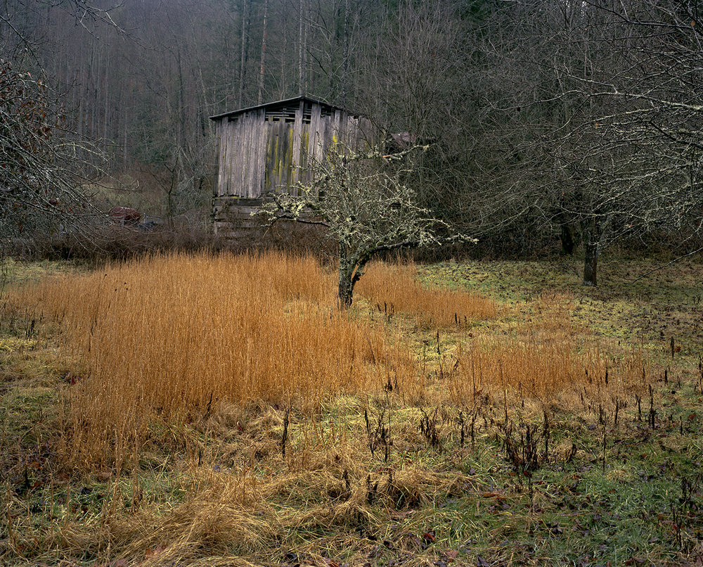   Tilson Mountain, NC (shed/winter grass) , 2002 Edition: 7/30 Archival Pigment Print 20 × 24 in. (image size) The Do Good Fund, Inc., 2014-031 