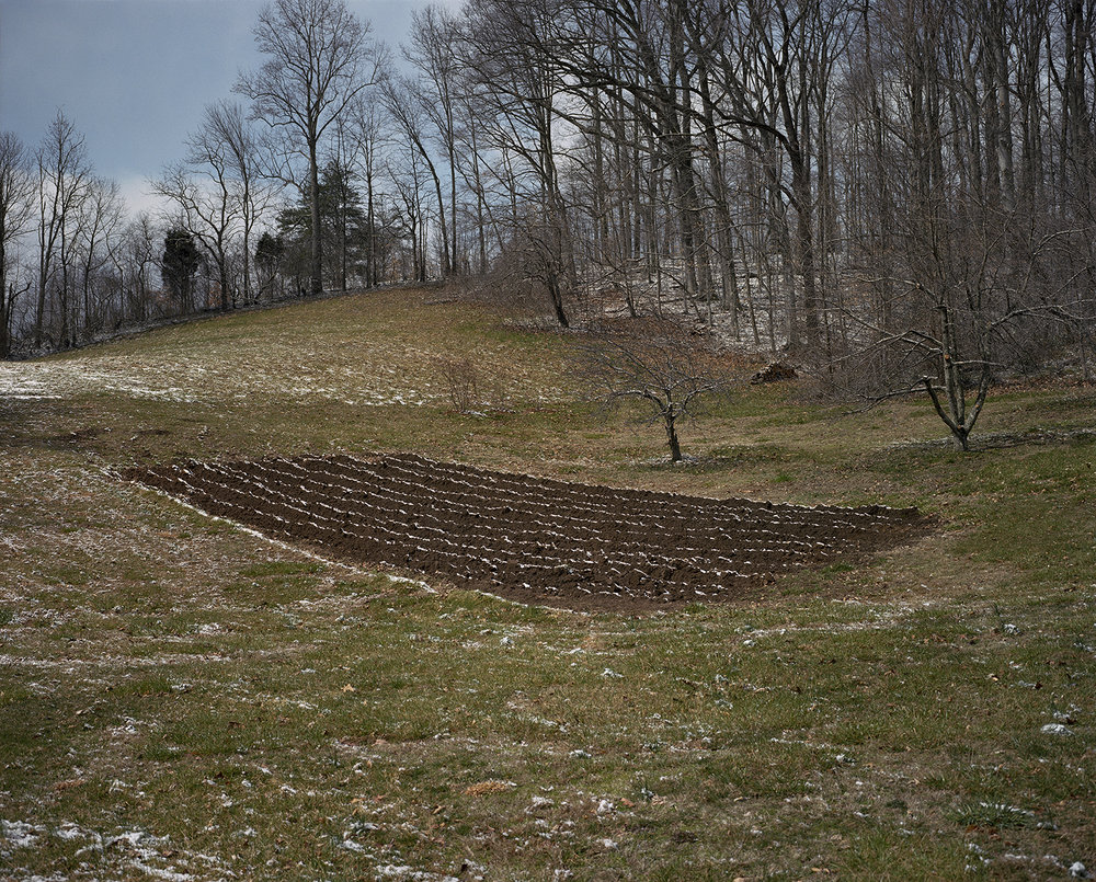   Gray, TN  (winter/garden), 1996 Edition: 16/30 Archival Pigment Print 20 × 24 in. (image size)  The Do Good Fund, Inc., 2014-033 