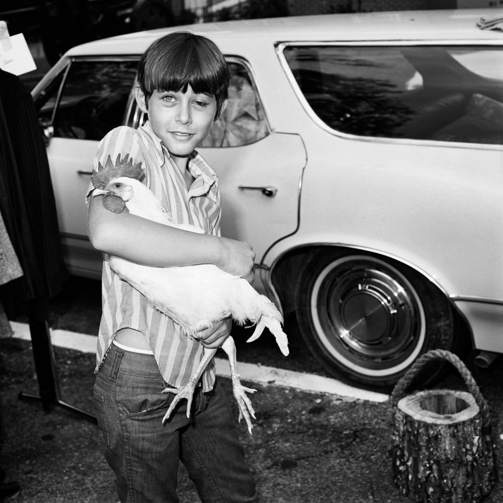   Boy with Cock, Scottsboro AL , 1976/ Printed: c. 2003  Gelatin Silver Print 20 × 16 in. (image size)  The Do Good Fund, Inc., 2015-015 