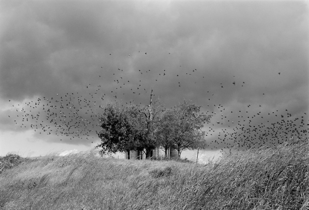   Near Jefferson City, Tennessee,  1991 Edition: 5/15 Silver Gelatin Print 15 × 21 in. (image size) The Do Good Fund, Inc. 2018-047 
