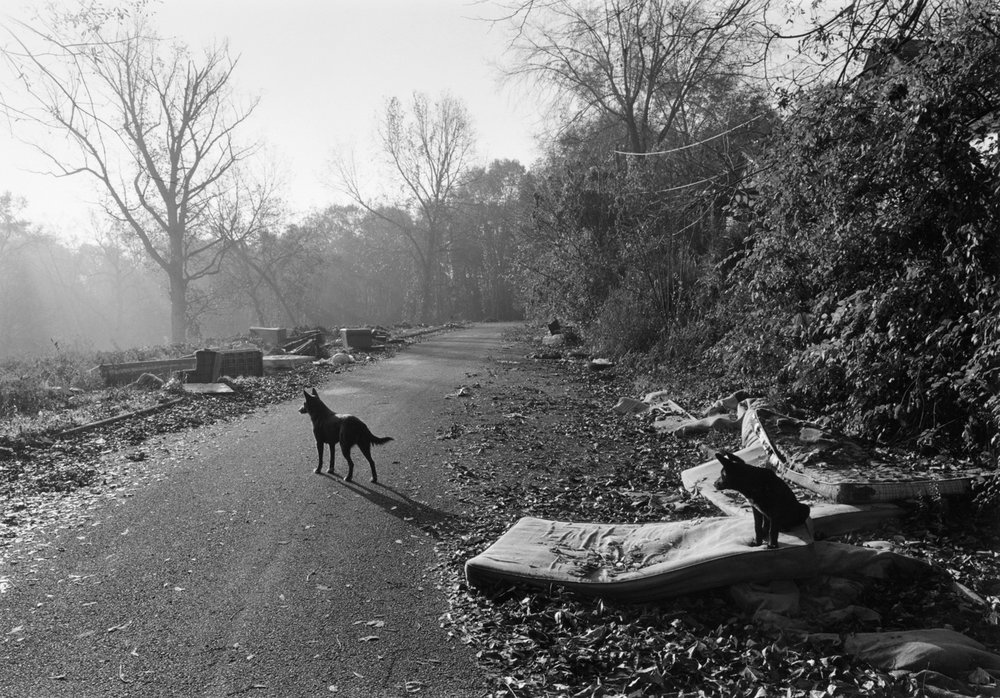   Athens, Georgia , 1995 Edition: 2/15 Silver Gelatin Print  11 3/4 × 16 7/8 in. (image size) The Do Good Fund, Inc., 2018-034 