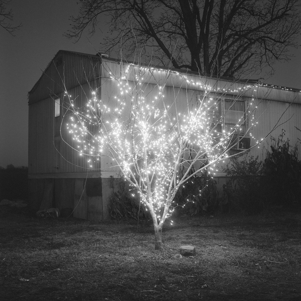   Christmas Tree; Alligator, MS , 2012 Edition: 5/10 Gelatin Silver Print  14 × 14 in. (image size) The Do Good Fund, Inc., 2014-005 